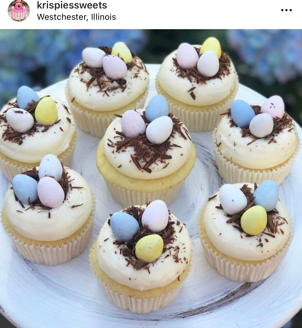 Nest Cupcakes